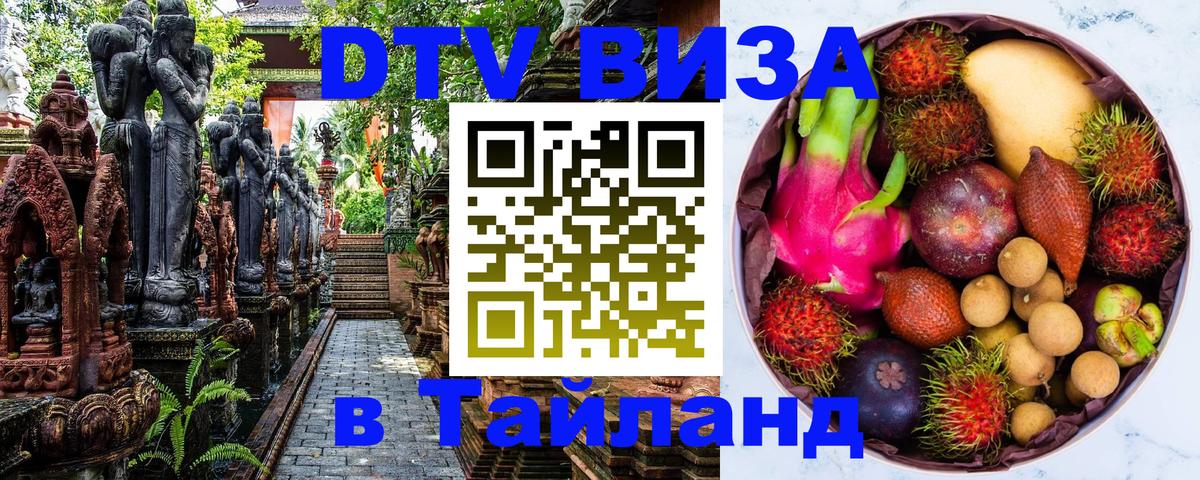 Сколько стоит DTV виза — актуальные цены, оформление даже без документов - 06.12.2025 